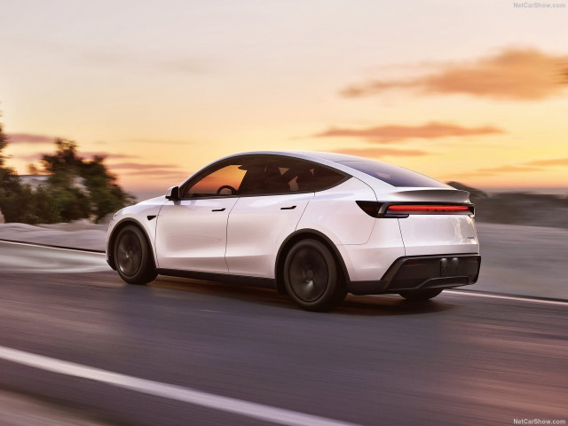 tesla model y pic #206183