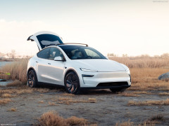 Model Y photo #206184