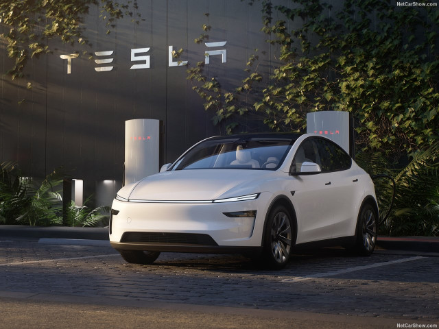 tesla model y pic #206187