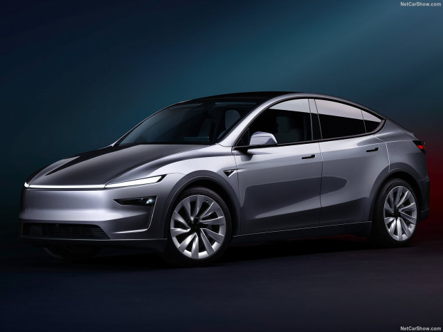 tesla model y pic #206190