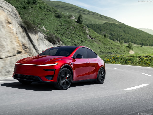 tesla model y pic #207007
