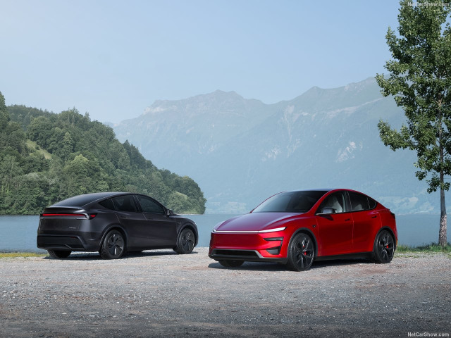 tesla model y pic #207008