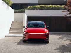 Model Y photo #207010