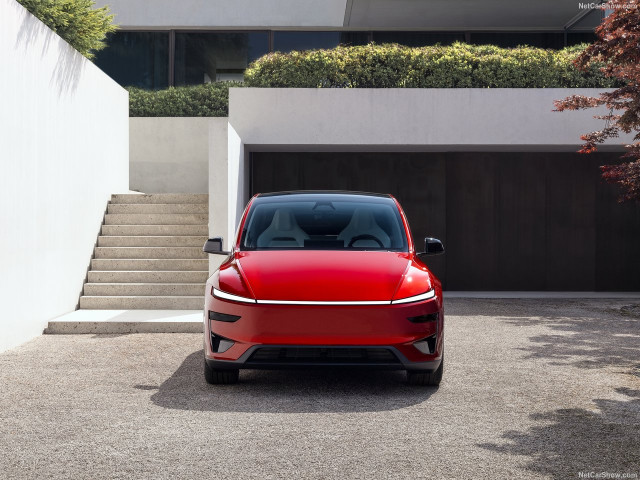 tesla model y pic #207010