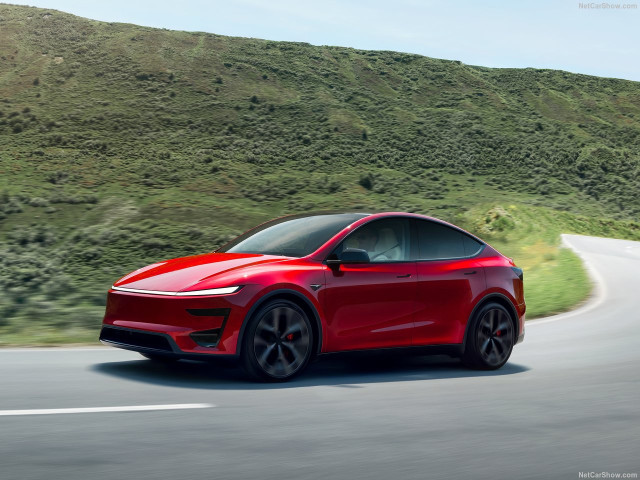 tesla model y pic #207011