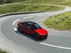 Model Y photo #207012