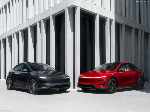 tesla model y pic #207013