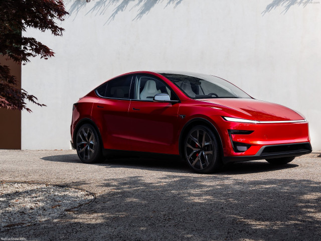 tesla model y pic #207016