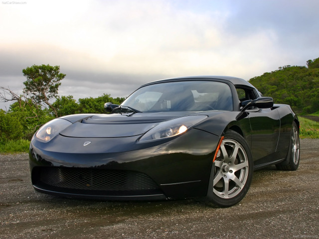 tesla roadster pic #51873