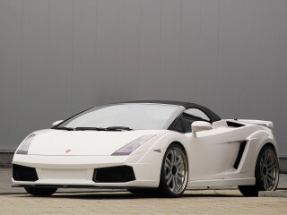 IMSA Lamborghini Gallardo Spyder GTV
