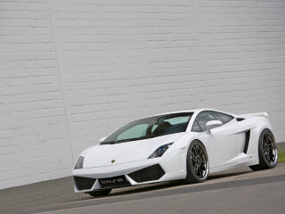 IMSA Lamborghini Gallardo LP 560