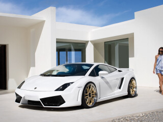 IMSA Lamborghini Gallardo LP560 GTV