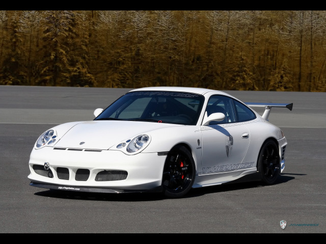 jnh porsche 996 gt3 version 02 pic #44247