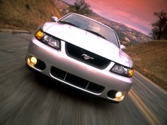 Mustang Cobra photo #10609