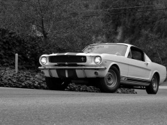 ford mustang shelby gt350 pic #122041