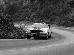 ford mustang shelby gt350 pic #122042