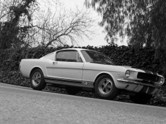 ford mustang shelby gt350 pic #122045