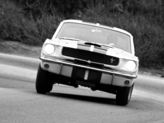 ford mustang shelby gt350 pic #122046