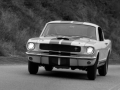 ford mustang shelby gt350 pic #122047
