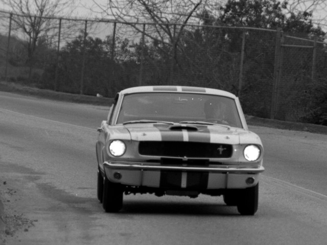 ford mustang shelby gt350 pic #122048