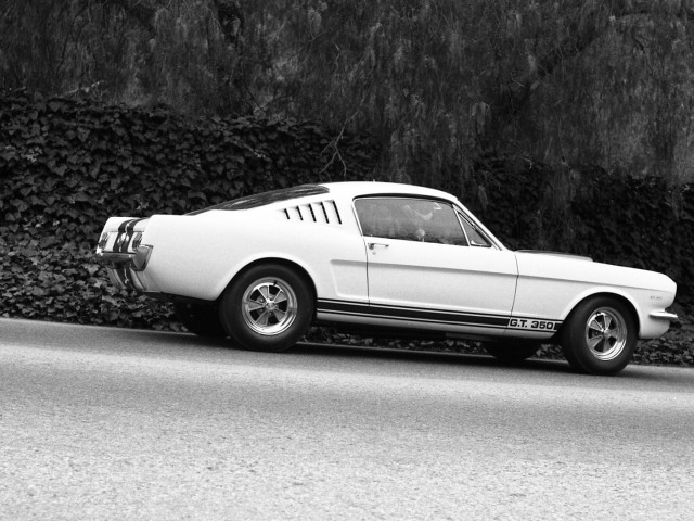 ford mustang shelby gt350 pic #122051