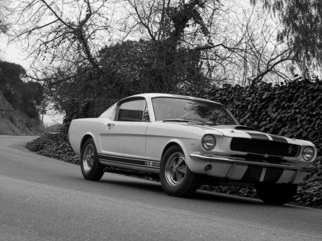 ford mustang shelby gt350 pic #122053