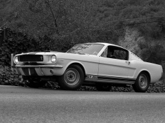 ford mustang shelby gt350 pic #122054