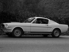 ford mustang shelby gt350 pic #122055