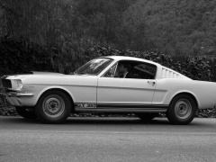 ford mustang shelby gt350 pic #122058