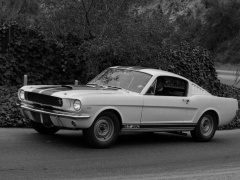 ford mustang shelby gt350 pic #122059