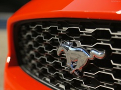 Mustang EcoBoost photo #129752