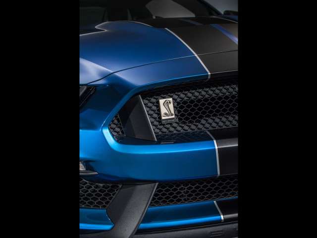 ford mustang shelby gt350r pic #135630