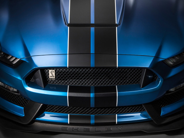 ford mustang shelby gt350r pic #135631