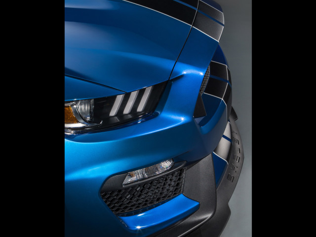 ford mustang shelby gt350r pic #135653