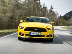 Mustang EU-Version photo #142057