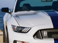 ford mustang shelby gt350 pic #149145