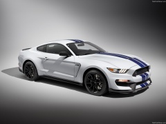 ford mustang shelby gt350 pic #149150