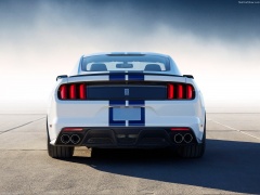 ford mustang shelby gt350 pic #149151