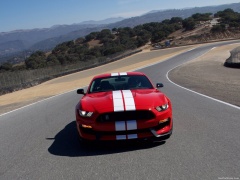 ford mustang shelby gt350 pic #149154