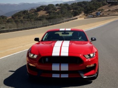 ford mustang shelby gt350 pic #149155