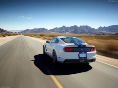 ford mustang shelby gt350 pic #149158