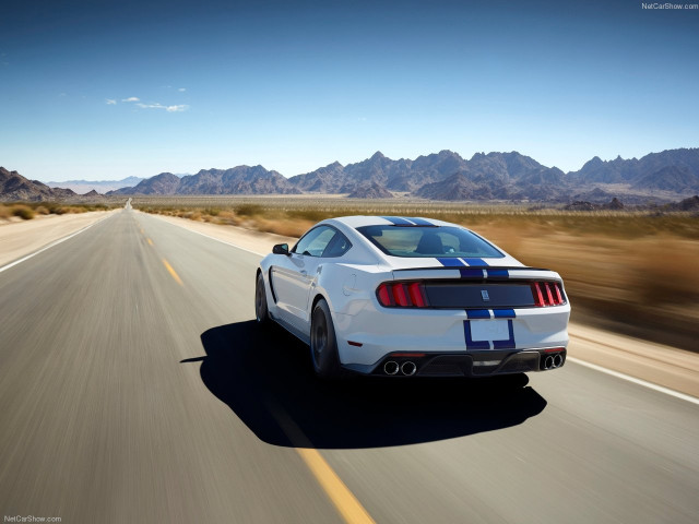 ford mustang shelby gt350 pic #149158