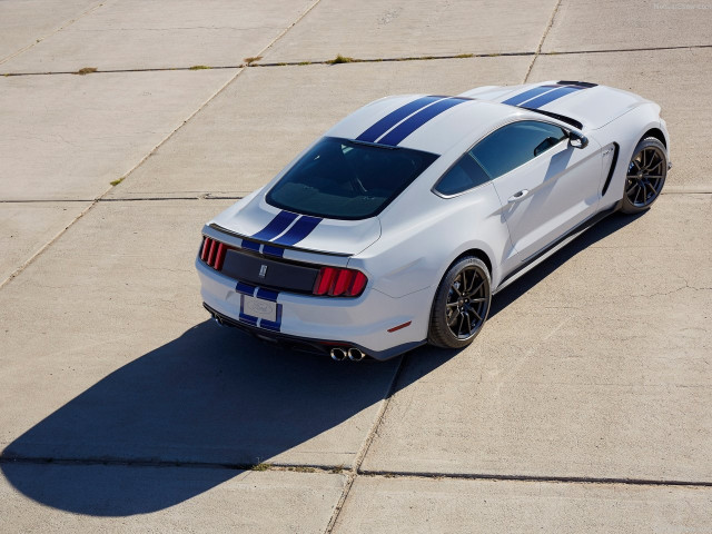 ford mustang shelby gt350 pic #149160