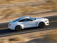 ford mustang shelby gt350 pic #149162