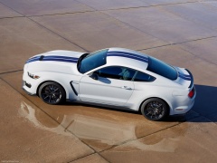 ford mustang shelby gt350 pic #149163