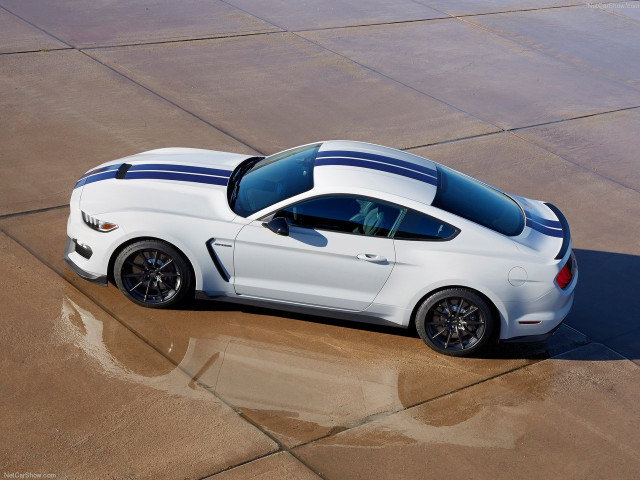 ford mustang shelby gt350 pic #149163