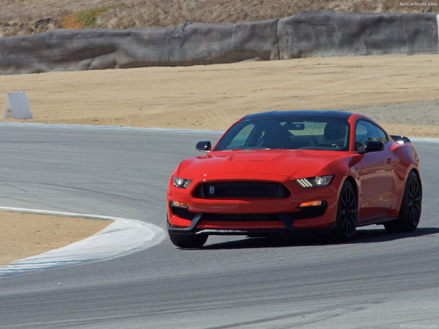 ford mustang shelby gt350 pic #149165