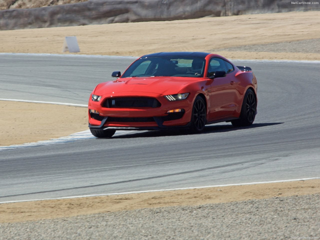 ford mustang shelby gt350 pic #149166