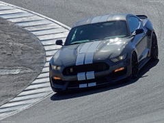 ford mustang shelby gt350 pic #149167