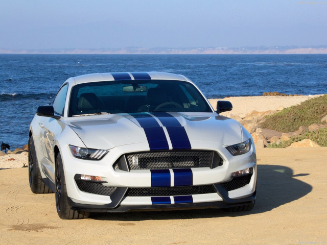 ford mustang shelby gt350 pic #149168